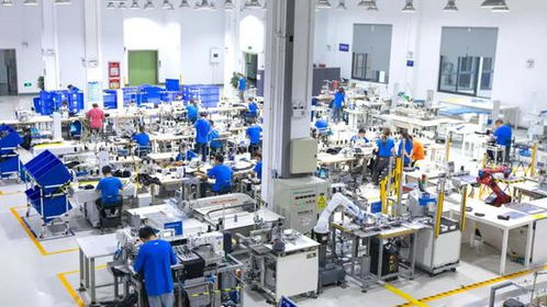 捂了三年、高度保密，阿里的犀牛工廠到底是什么？機(jī)電建造揭秘