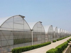 淄博溫室大棚建造 一流價格與專業(yè)服務解析