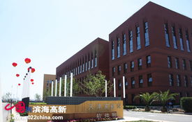 政策利好振翅高飛，天津七成軟企匯聚濱海新區(qū)領(lǐng)航軟件外包