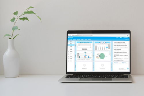 免費(fèi)裝修管理軟件靠譜嗎？——兼談軟件外包服務(wù)的優(yōu)勢與選擇